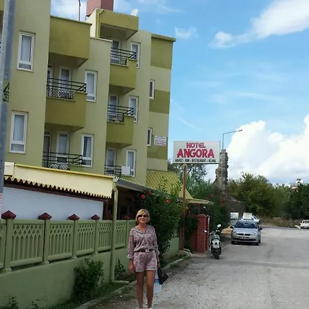 Angora